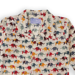Rainbow Marching Elephants